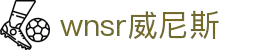 wnsr威尼斯·(集团)有限公司-官方网站